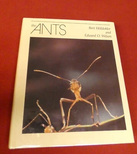 THE ANTS by Bert Holldobler & Edward O. Wilson - Hardcover 1990 1st Ed. Rare New - Picture 1 of 13