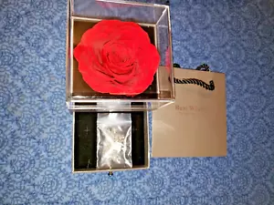 Awesome women's Gift Preserved Forever Rose Gift with Necklace and scarf - Picture 1 of 3