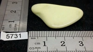 Chrysoprase citron pierre roulée mineraux lithotherapie collection reiki déco - Picture 1 of 1