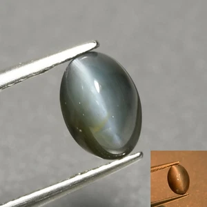 1.20Ct Oval 6.9 x 4.8 MM 100% Natural Color Changing Alexandrite Cats Eye - Picture 1 of 5