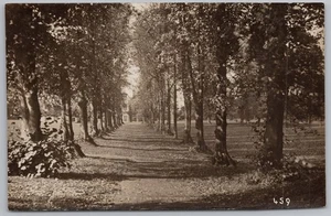 WYCOMBE ABBEY Buckinghamshire Tree Lined Walk RP Postcard - Picture 1 of 2