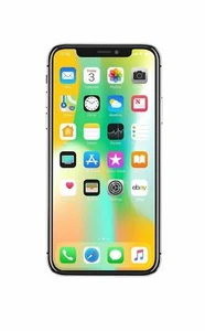 Apple IPHONE X Espace Gris 256 GB débloqué Ios LTE Prépayé Utilisé Bon - Photo 1/7