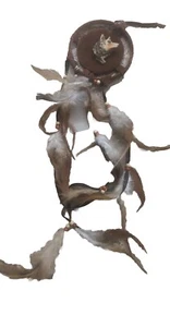 Dreamcatcher With Wolf Head On Center - Picture 1 of 2