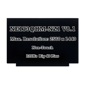 17.3" 240Hz QHD LCD Screen IPS Display Panel NE173QHM-NZ1 V8.1 2560x1440 40Pins - Picture 1 of 5