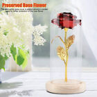 LED Ewige Rose im Glas für Frauen Geburtstag Geschenk Schöne und Das Biest Rose