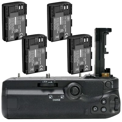 Repuesto de empuñadura de batería BG-R10 para Canon EOS R5, R5C, R6 + 4 baterías LP-E6NH Foto 1 de 4