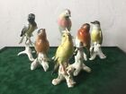 Antique Karl Ens Lot of 6 Porcelain Bird Figurines Germany Marked 19th Century