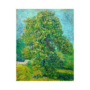 Van Gogh, Horse Chestnut Tree in Blossom, 1887, Lustre Canvas Print, 32" x 40"