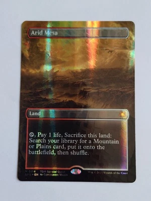 Arid Mesa (Borderless) (Dragonscale Foil) Special Guests Foil - Image 1 of 2