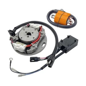 Stator Flywheel Rotor CDI Ignition Coil Kit For Suzuki RM125 RM250 RM400 RM500: - Picture 1 of 5