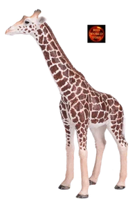 Giraffe männlich afrikanische Wildtiere Spielzeug Modell 381008 von Mojo Neu - Bild 1 von 2