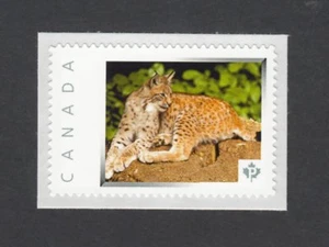 BOBCAT = LYNX = WILD CAT = Picture Postage stamp MNH Canada [p6an9/5] - Picture 1 of 2