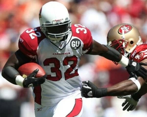 EDGERRIN JAMES 8X10 PHOTO ARIZONA CARDINALS PICTURE NFL FOOTBALL ACTION - Picture 1 of 1
