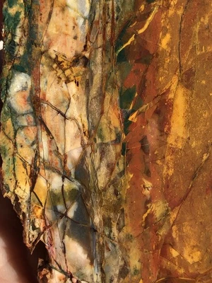 Piedra preciosa rara Belvedere de 1 lb con extremo de jaspe trozo losa lapidaria áspera Belvedee Oregon Foto 1 de 4