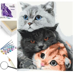 Pintura por números marco de madera Kotki Murkotki - Imagen 1 de 12