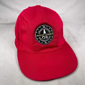 Cappello Princess Cruises 2000 uomo taglia unica rosso strapback berretto ricamato vintage - Foto 1 di 10