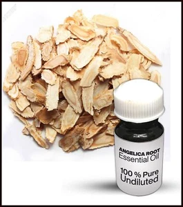 Angelica Root Essential Oil 100% Pure Undiluted (10ML-500ML) - Picture 1 of 1