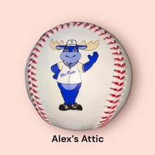 Wilmington Blue Rocks Baseball pre owned