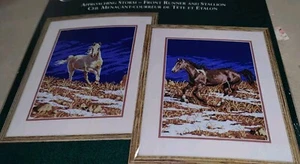 Elsa Williams Approaching Storm Front Runner & Stallion Counted Cross Stitch Kit - Picture 1 of 4