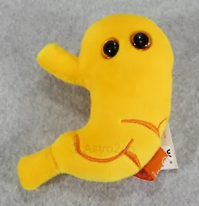 MICROBES GÉANTS-ESTOMAC-peluche farcie digestion intestins Chyme acide gastrique anatomie - Photo 1 sur 10