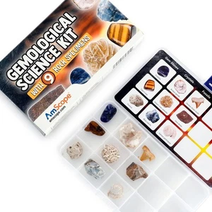 AmScope 9 piezas Kit de Ciencia Gemológica-Fósiles-Rocas-Piedras Preciosas-Cristales+Caja de Exhibición - Imagen 1 de 5