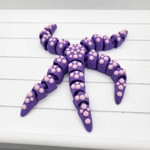 3D Printed Starfish -Fully Articulated Starfish, Fidget Sea Creature Gift - Picture 1 of 5