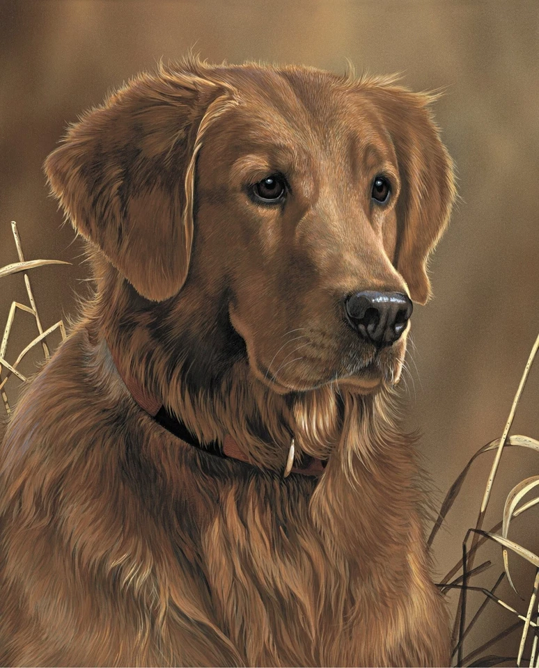Golden Retriever  ~ 35" x 44" ~ David Textiles Fabric Panel - Image 1 of 1