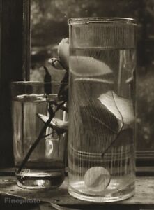 1950 JOSEF SUDEK Still Life Glass Rose Leaf Marble Original Photo Gravure Art