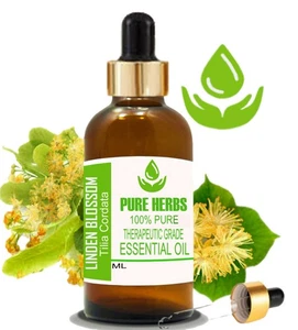 Pure Herbs Linden Blossom 100% Pure & Natural Tilia Cordata Essential Oil - Picture 1 of 13