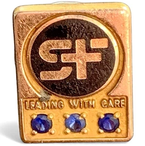 St Francis Award 10K Sapphires (3) "Leading With Care" Gold Filled Lapel Pin - Picture 1 of 6