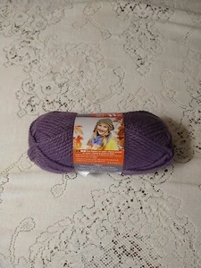 Bernat Softee Chunky Yarn Dark Mauve 3.5 oz 108 Yards Purple Super Chunky Sz 6 - Picture 1 of 4
