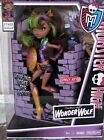 Monster High Wonder Wolf Clawdeen Wolf New In Box Actual Doll 2012