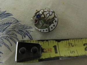 Vtg. Daughters of Rebekah (Odd Fellows) Enameled Pin - Picture 1 of 4