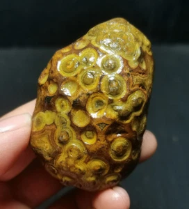 Rare 76.8G Natural China Inner Mongolia Gobi Agate Eyes Agate Collection R769 - Picture 1 of 14