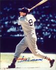 TED WILLIAMS #1 REPRINT PHOTO 8X10 SIGNED AUTOGRAPHED MAN CAVE BOSTON RED SOX