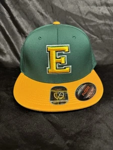 Gorra America Flex Fit E PARA Eagles SOMBRERO VERDE AMARILLO L/XL - Imagen 1 de 4