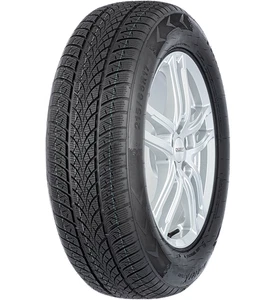 TRIANGLE TW-401 WINTER X 215/50 R17 95 V M+S Pneumatico Invernali Gomma - Imagen 1 de 5