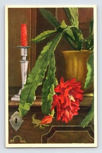Postcard Leaf Cactus Flower Candle Thor Gyger Stehli Series 1940s Unposted - Picture 1 of 2