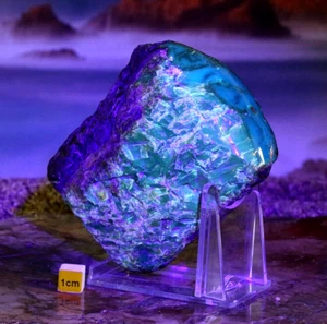 Large Rare Natural Specimen of Fluorescent Blue Amber with Polished Face 180g - Picture 1 of 9
