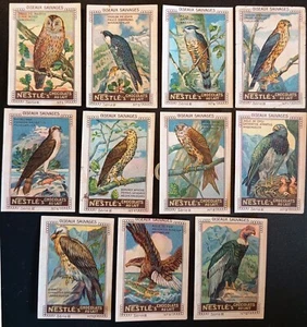 Tarjetas comerciales TC0086: Chocolate Nestlé - Serie 2 - Oiseaux Sauvages - Imagen 1 de 1