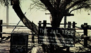 Postcard Jail Tree, Wikenbug, AZ (P-1) - Picture 1 of 2