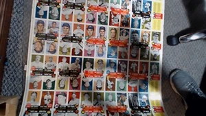 1953 TOPPS BASEBALL UNCUT SHEET 1991 ARCHIVES TED WILLIAMS,HANK AARON 132 CARDS - Picture 1 of 7