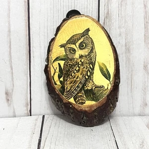 Vintage 70er Eule auf Holzscheibe Live Edge Decoupage Kunst Wandbehang Plakette - Bild 1 von 5