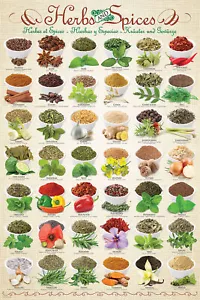 Küche - Kräuter & Gewürze - Poster Plakat Druck - Größe 61x91,5 cm - Bild 1 von 21