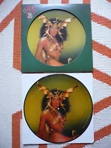 Cher Take Me Home Picture Disc Vinyl US 1979 Casablanca 1st Press LP Die Cut Cov - Foto 1 di 10