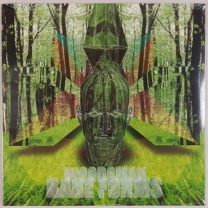 WOODSMEN: Rare Forms SEALED Psych Experimental Vinyl LP Fire Talk - Picture 1 of 2