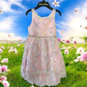 American Princess Girls Dress Pink Multicolor Embroidered & Rhinestones Sz. 6X/7 - Picture 1 of 14