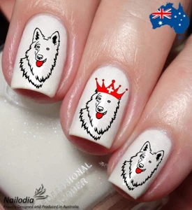 White Swiss Shepherd Berger Blanc Suisse Dog Nail Art Decal Sticker - Foto 1 di 5