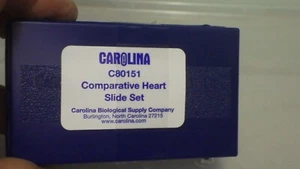 Carolina set C80151 comparative heart slide Aorta artery cardiac muscle human - Picture 1 of 5