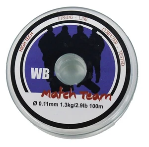 New SILSTAR Style MATCH TEAM Fishing Line 100m Monofilament - Picture 1 of 1